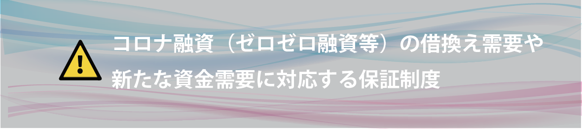 コロナ融資（ゼロゼロ融資等）の借換え需要や新たな資金需要に対応する保証制度